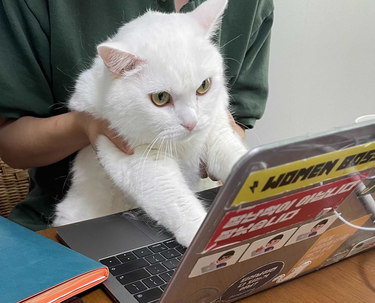 코딩교육연구소