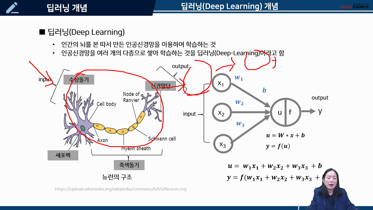 딥러닝의 개념
