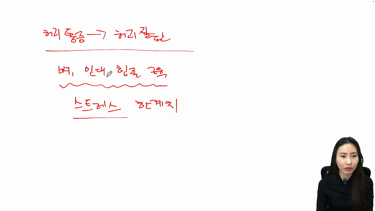 요추의 안정성 고려사항 1 수동적 요소