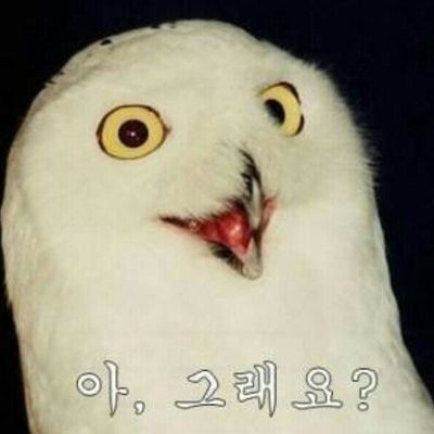 김 미묘.
